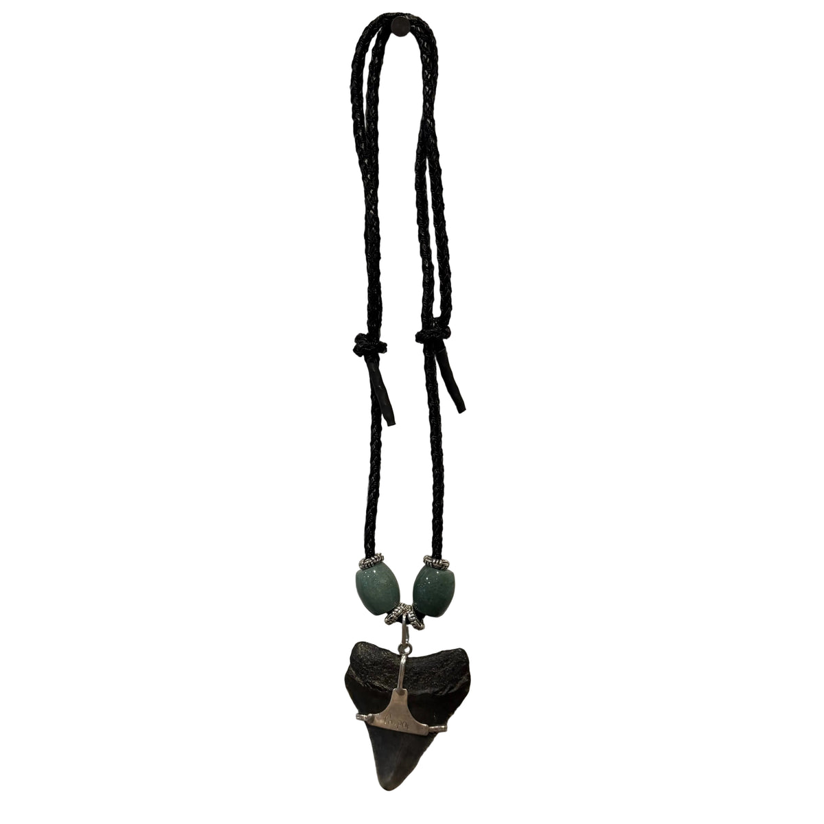 Megalodon Tooth Necklace - front view